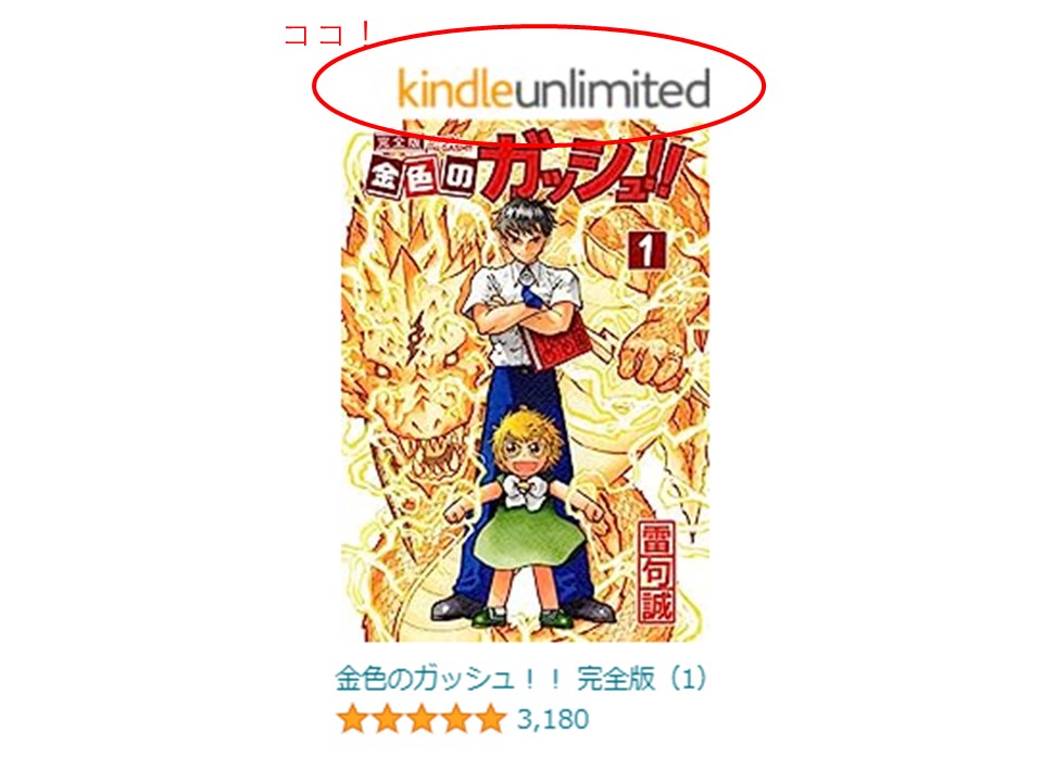Kindleアプリ画面